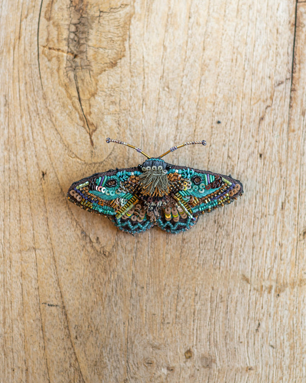 Lanipes Moth Brooch Pin