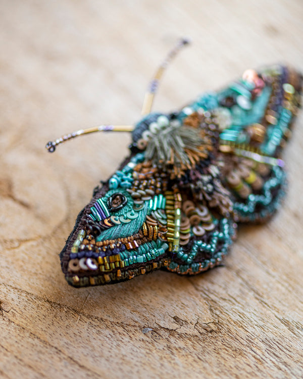 Lanipes Moth Brooch Pin