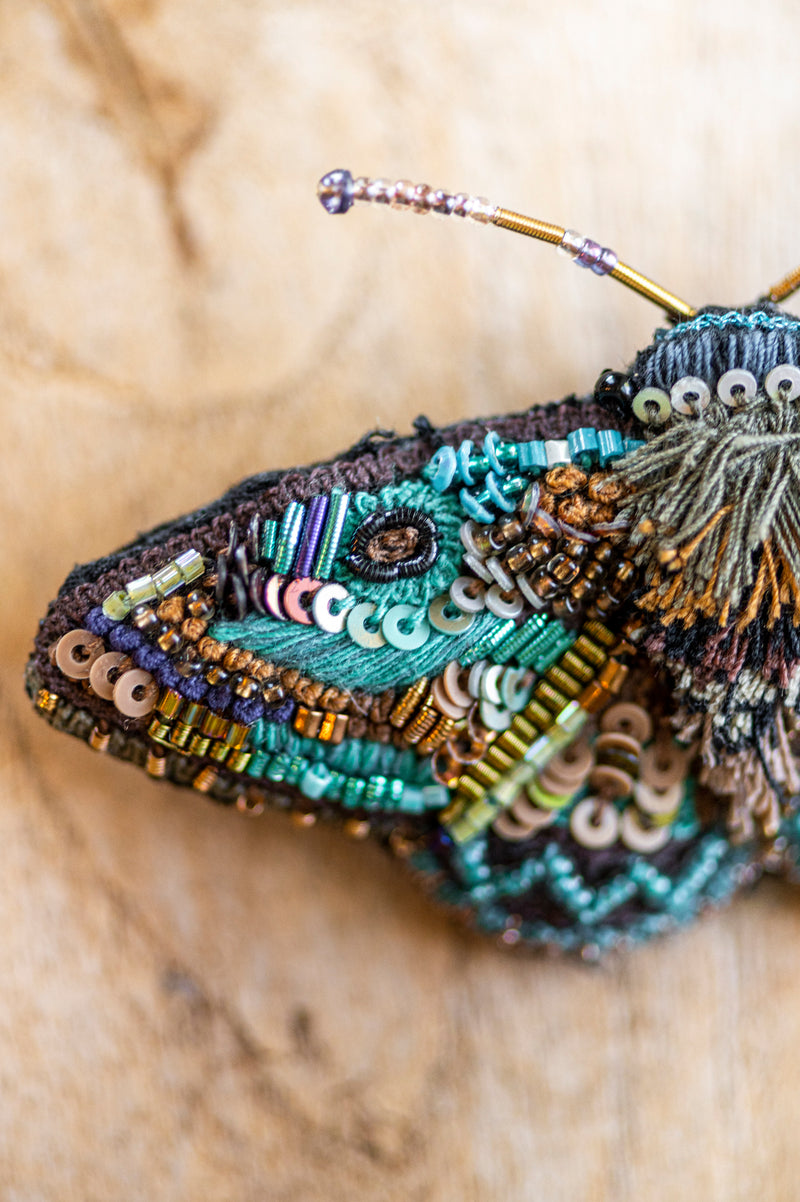 Lanipes Moth Brooch Pin