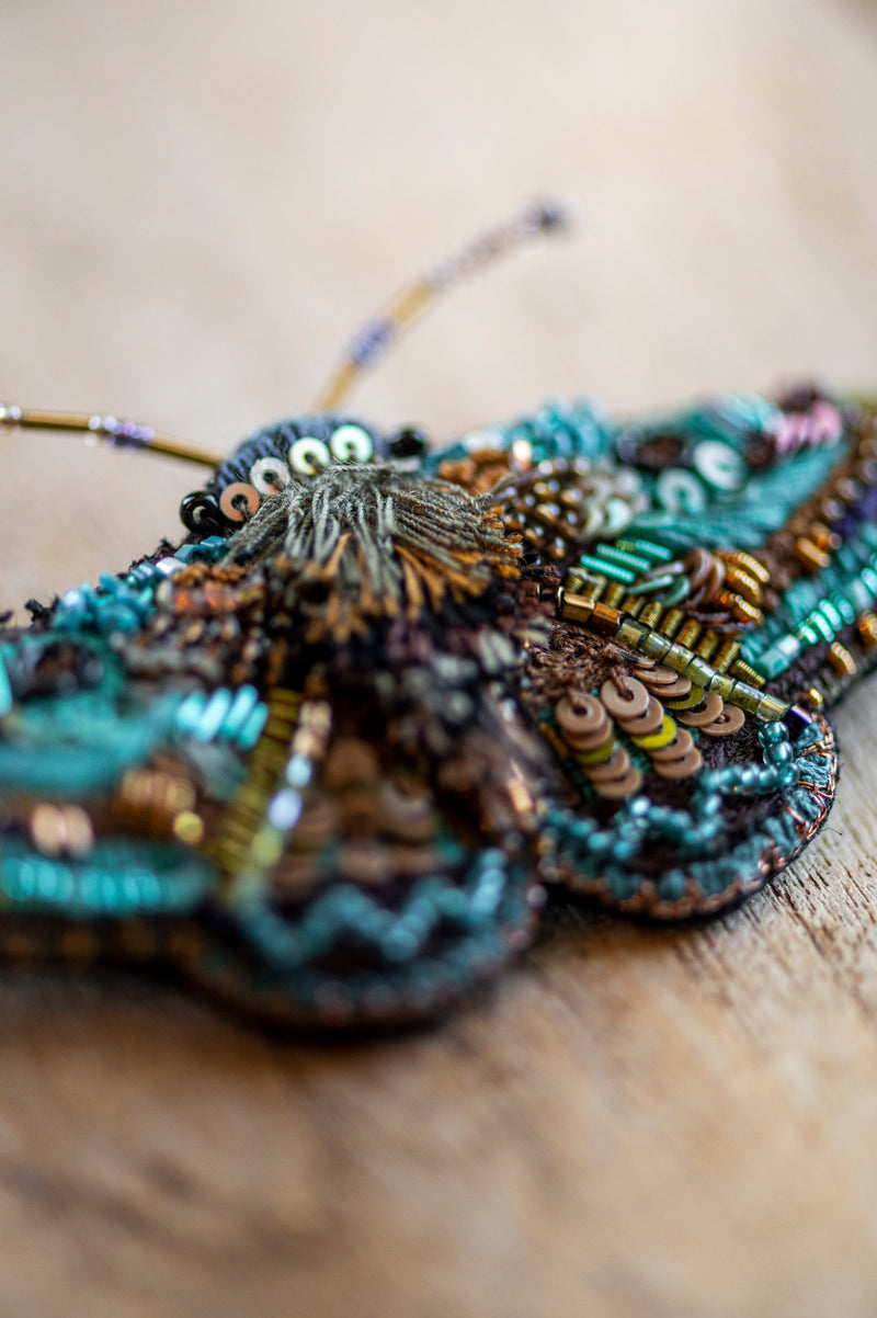 Lanipes Moth Brooch Pin
