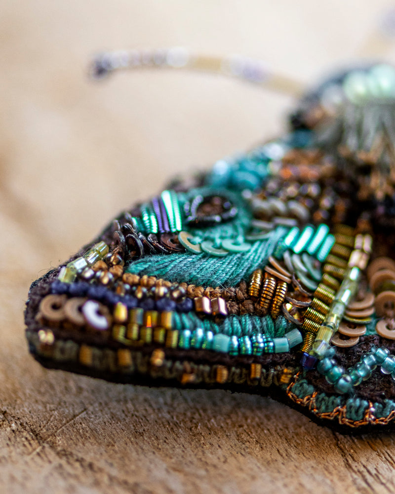 Lanipes Moth Brooch Pin
