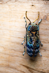 Florentinus Beetle