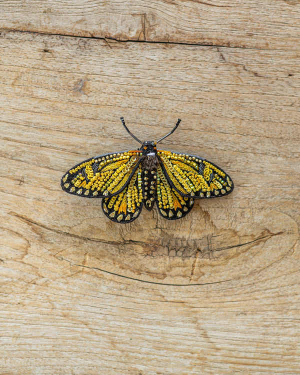 Yellow Coster Butterfly Brooch Pin