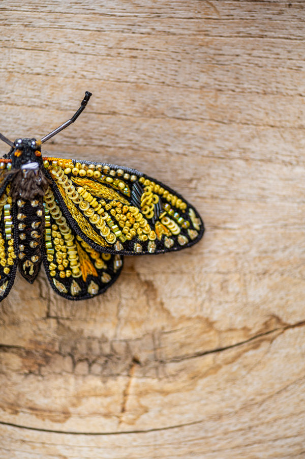 Yellow Coster Butterfly Brooch Pin