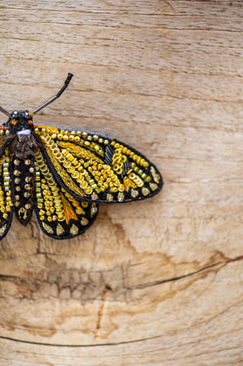 Yellow Coster Butterfly Brooch Pin