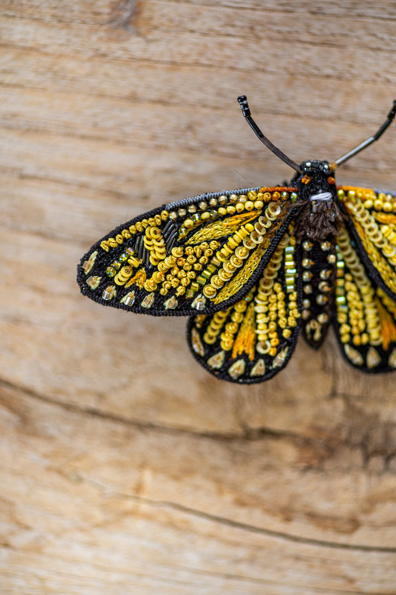 Yellow Coster Butterfly Brooch Pin