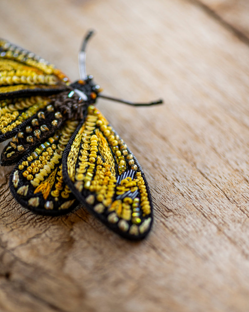 Yellow Coster Butterfly Brooch Pin