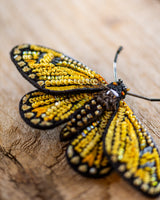 Yellow Coster Butterfly Brooch Pin