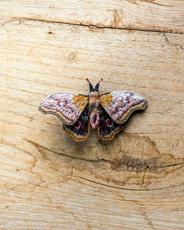 Emperor Mopane Moth Brooch Pin