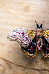 Emperor Mopane Moth Brooch Pin