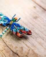 Sunrise Dragonfly