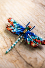 Sunrise Dragonfly