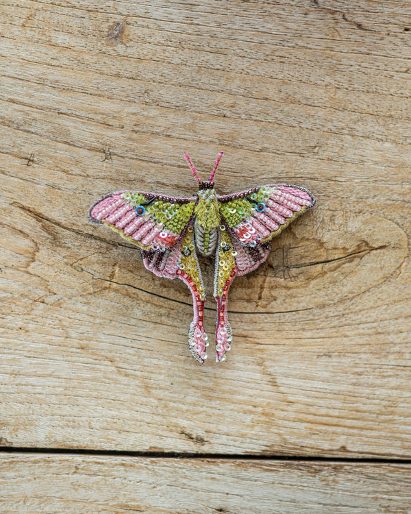 Moon Moth Brooch Pin