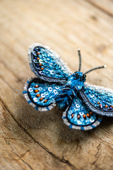 Adonis Blue Butterfly Brooch Pin