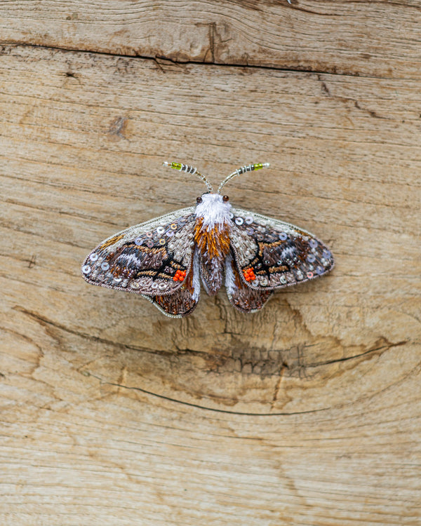 Drepanid Moth Brooch Pin