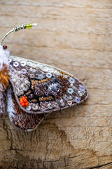 Drepanid Moth Brooch Pin