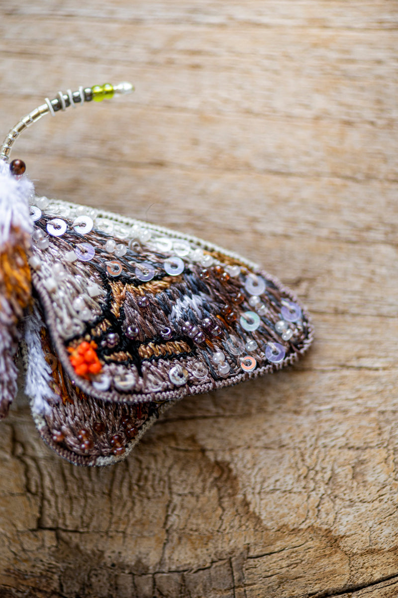 Drepanid Moth Brooch Pin