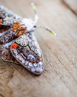Drepanid Moth Brooch Pin