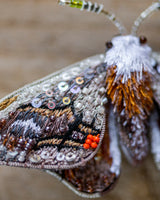 Drepanid Moth Brooch Pin