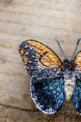 Giant Owl Butterfly Brooch Pin