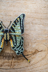 Scarce Swallowtail Brooch Pin