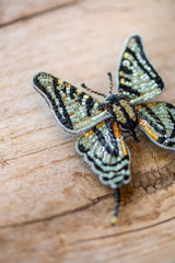 Scarce Swallowtail Brooch Pin