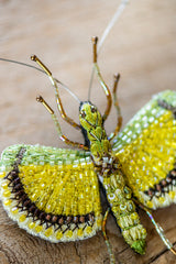 Yellow Umbrella Insect Brooch Pin