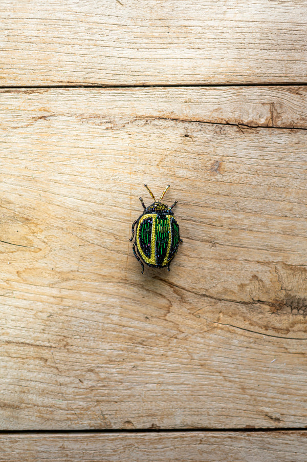 Tortoise Beetle Brooch Pin