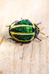 Tortoise Beetle Brooch Pin