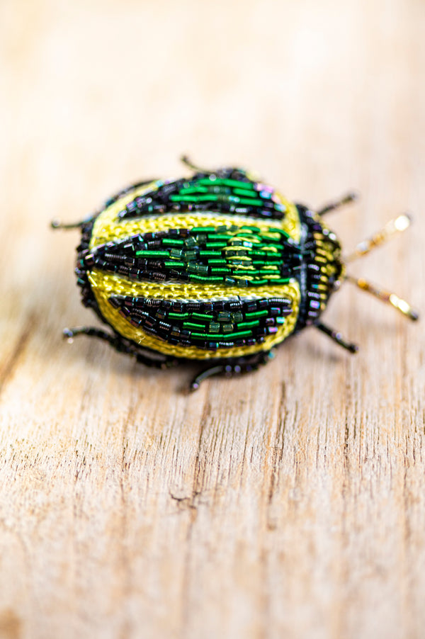 Tortoise Beetle Brooch Pin