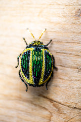 Tortoise Beetle Brooch Pin