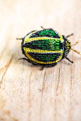 Tortoise Beetle Brooch Pin