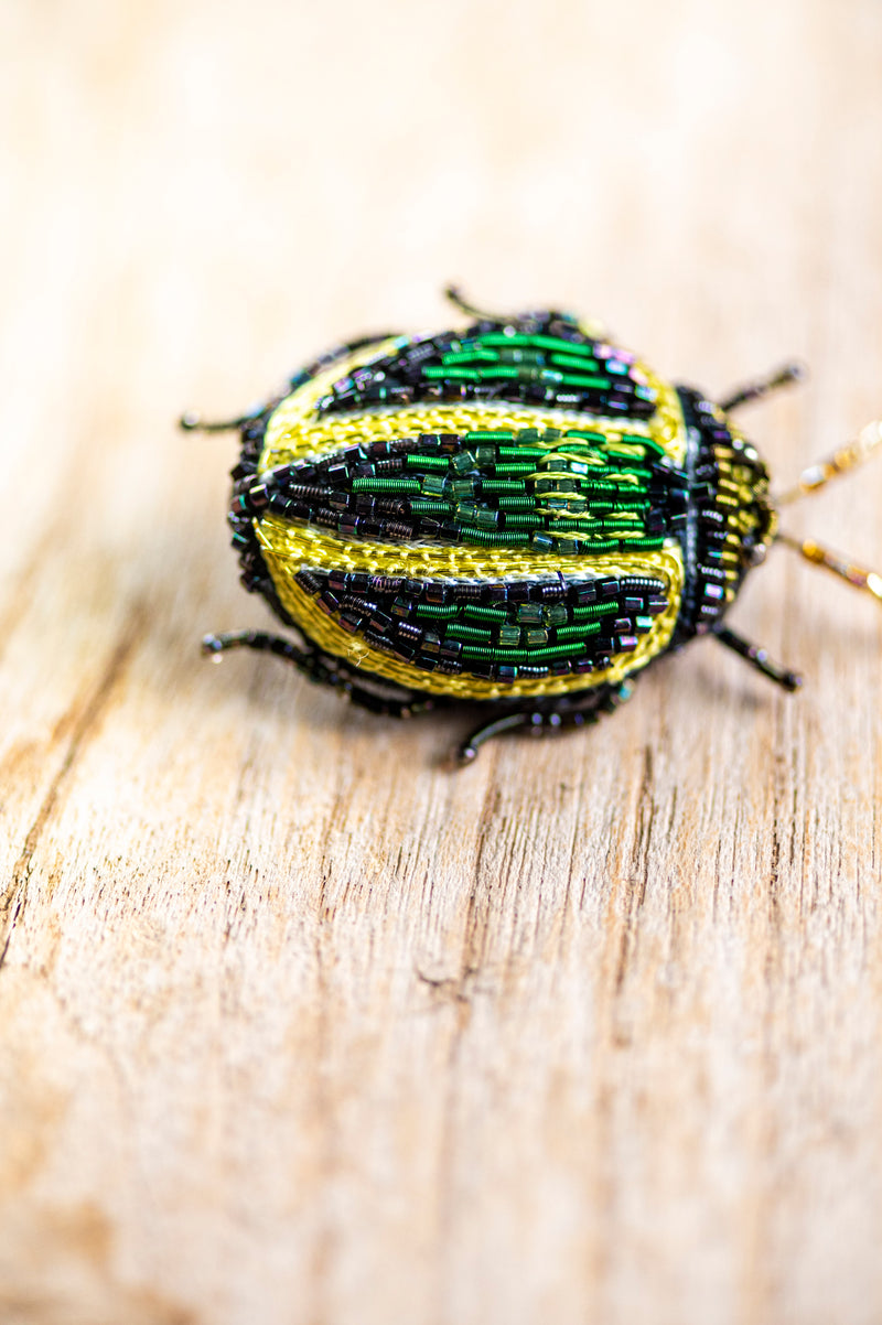 Tortoise Beetle Brooch Pin