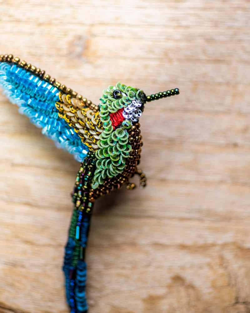 Tropical Hummingbird Brooch Pin