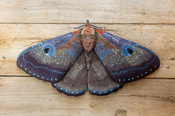 Giant Silk Moth Object Art