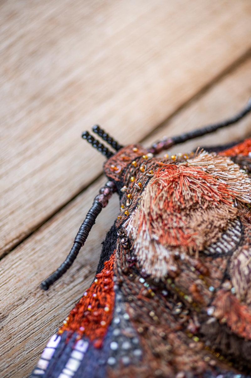Giant Silk Moth Object Art