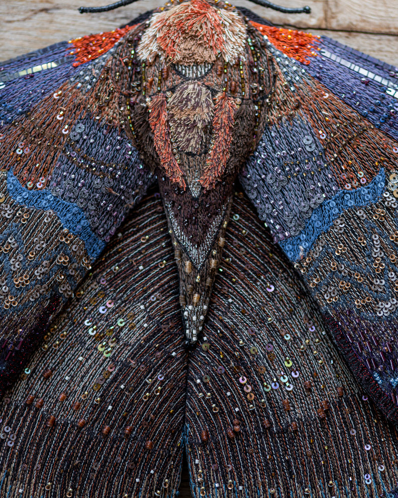 Giant Silk Moth Object Art