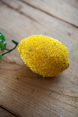 Lemon Object Art