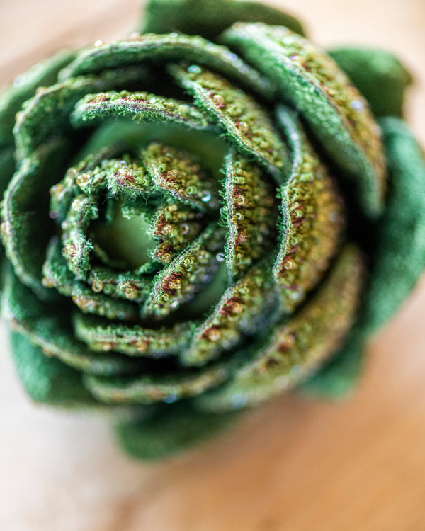 Artichoke Object Art
