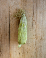 White Corn Object Art
