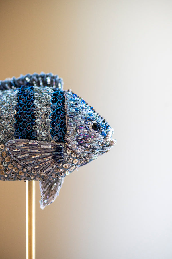 Striped Damselfish Object