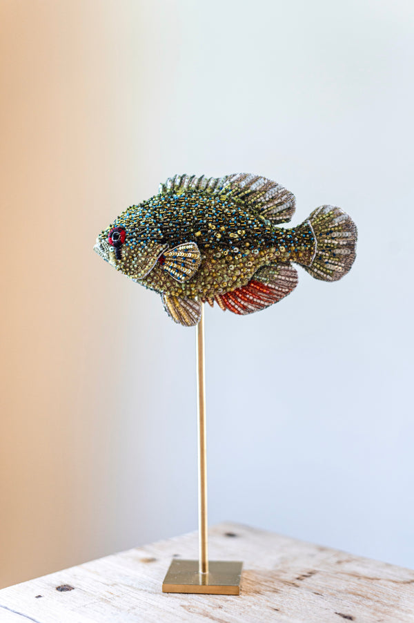 Blue Spotted Sunfish Object