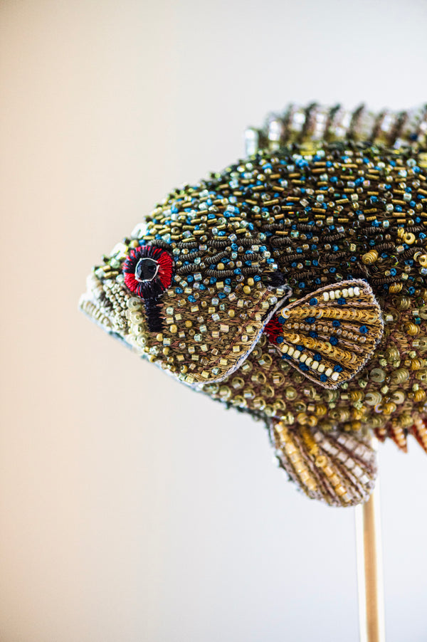 Blue Spotted Sunfish Object