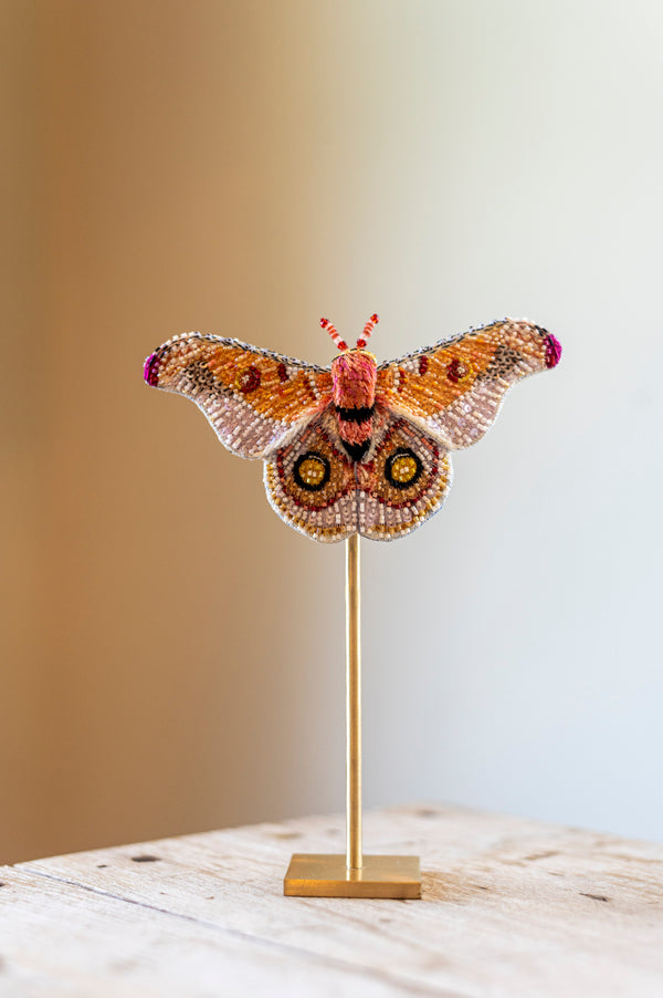 Madagascar Bullseye Object