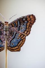 White Peacock Object