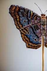 White Peacock Object