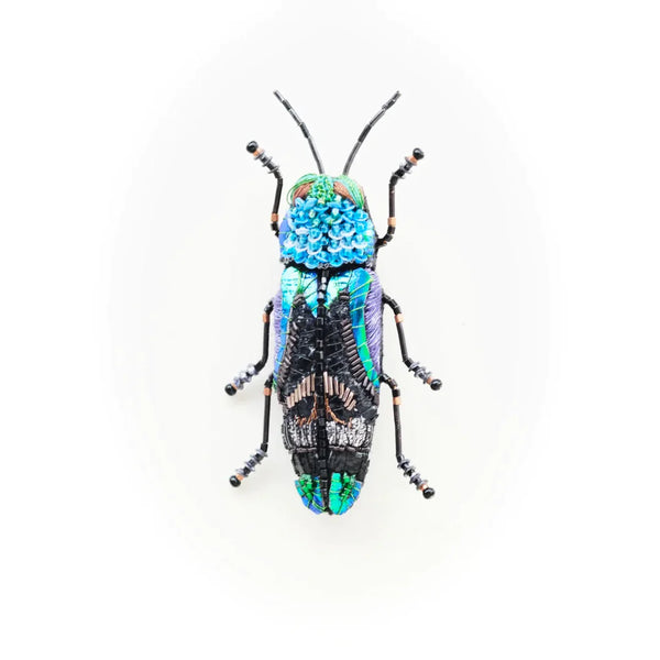 Ulkei Beetle Brooch Pin