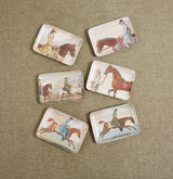 Equine Trays