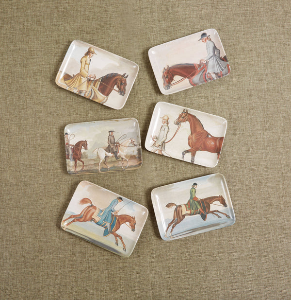 Equine Trays