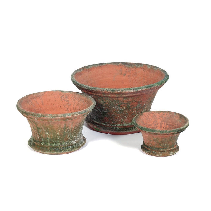 MED RITA DEAR PLNTR AGED